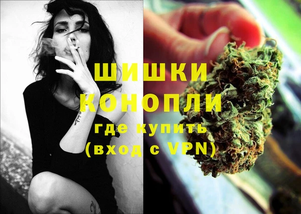 ешки Аркадак