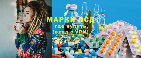 ешки Аркадак