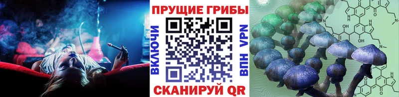 Галлюциногенные грибы мухоморы  Дорогобуж 